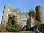 irland-606